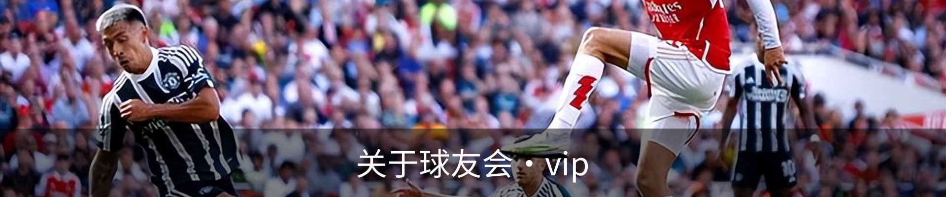 关于球友会·vip